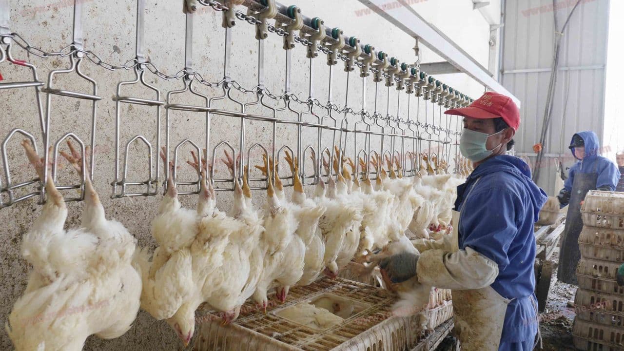 Фото условий